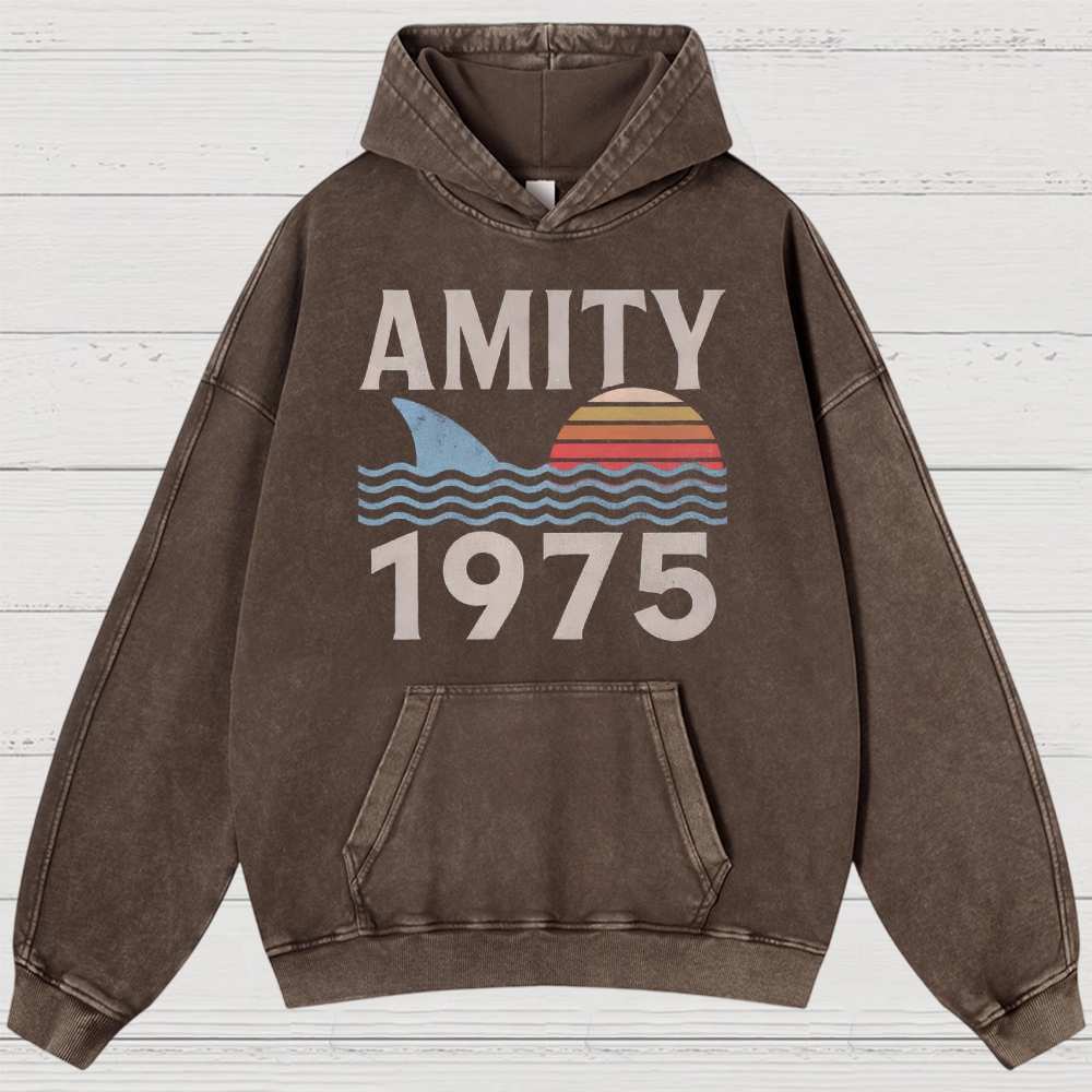 Retro Ocean Sunset 1975 Beach Washed Hoodies 