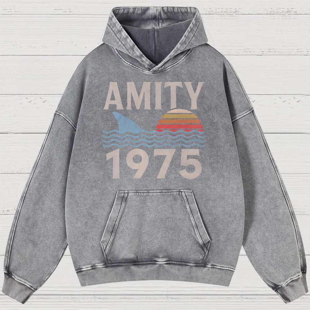 Retro Ocean Sunset 1975 Beach Washed Hoodies 