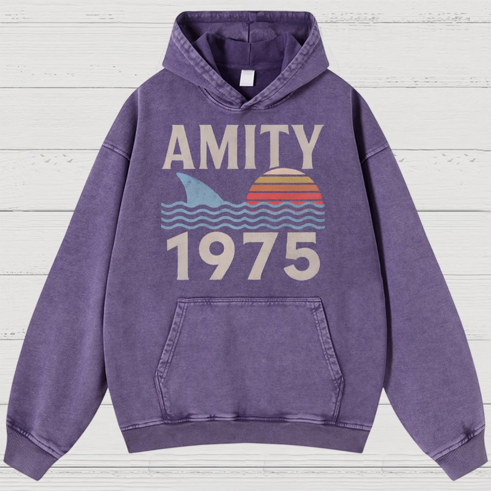 Retro Ocean Sunset 1975 Beach Washed Hoodies 