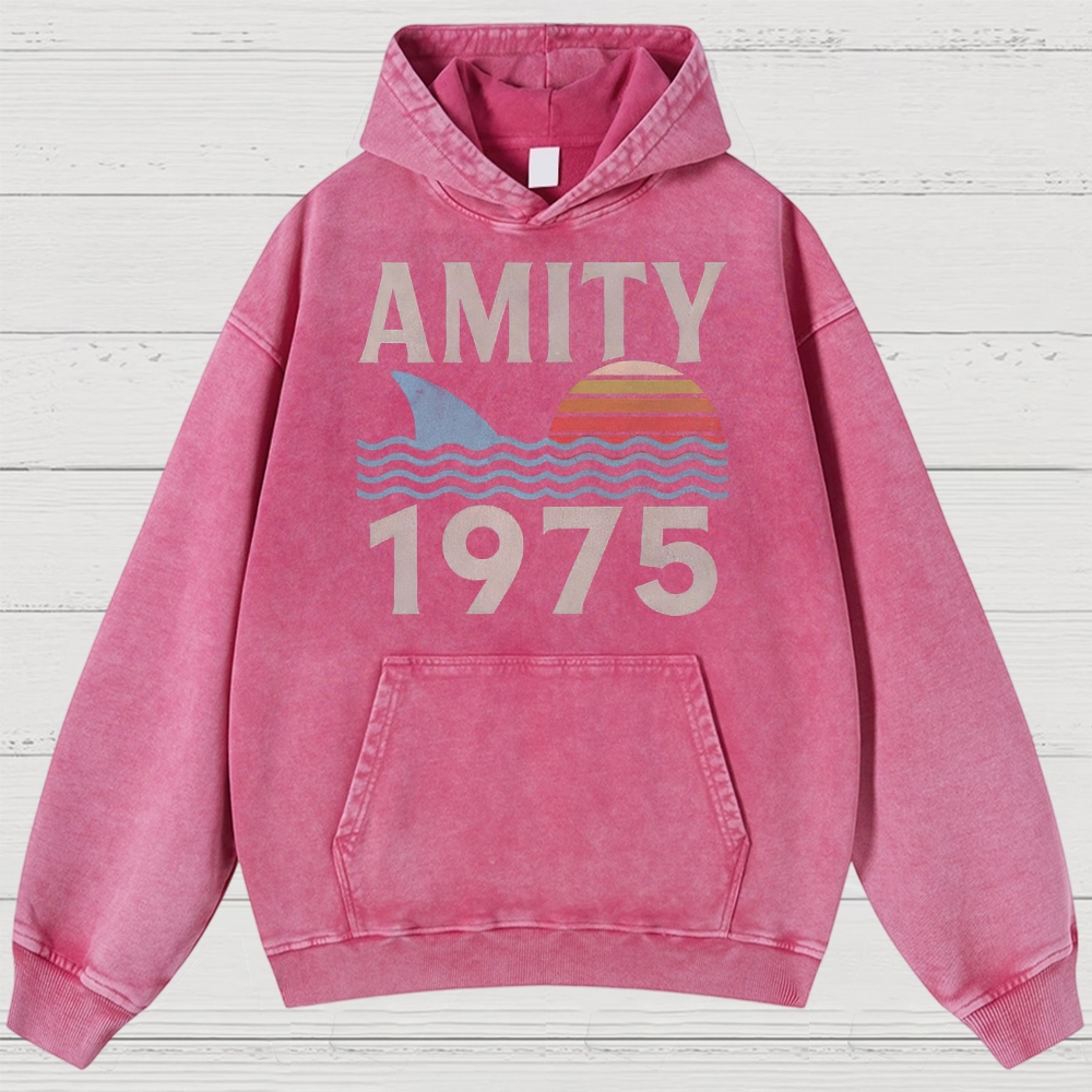 Retro Ocean Sunset 1975 Beach Washed Hoodies 