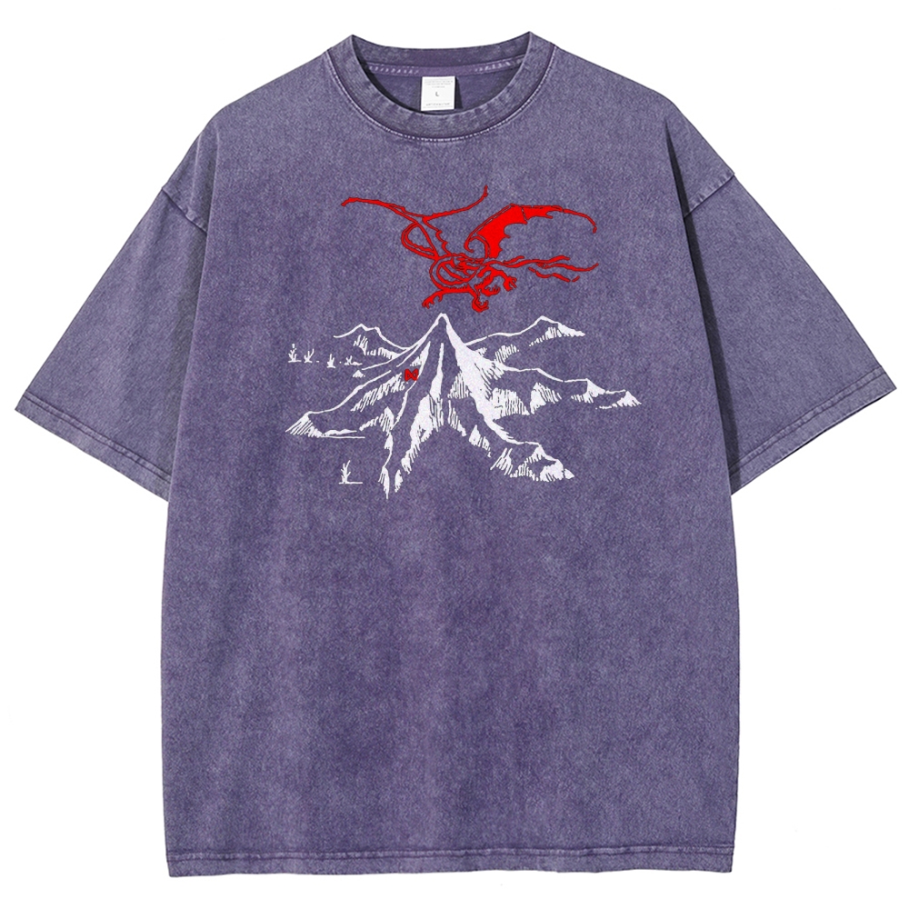Fantasy Dragon & Mountain Graphic Retro Washed T-Shirt