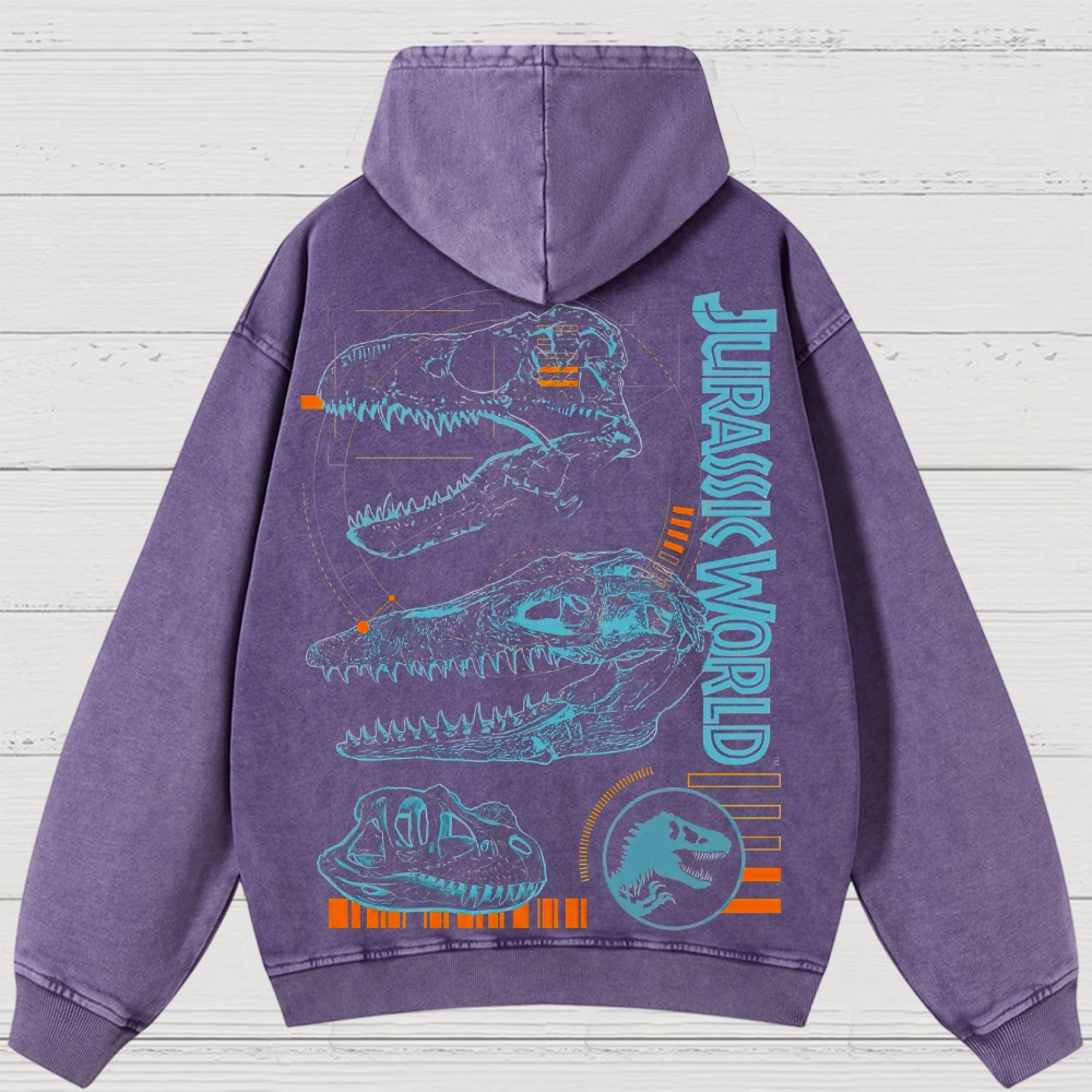 Dinosaur Skull & Retro Graphic Washed Hoodies