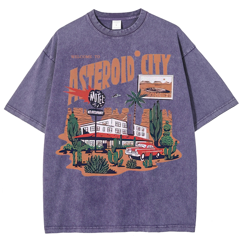 Retro Desert Motel & Sci-Fi Graphic Washed T-Shirt 