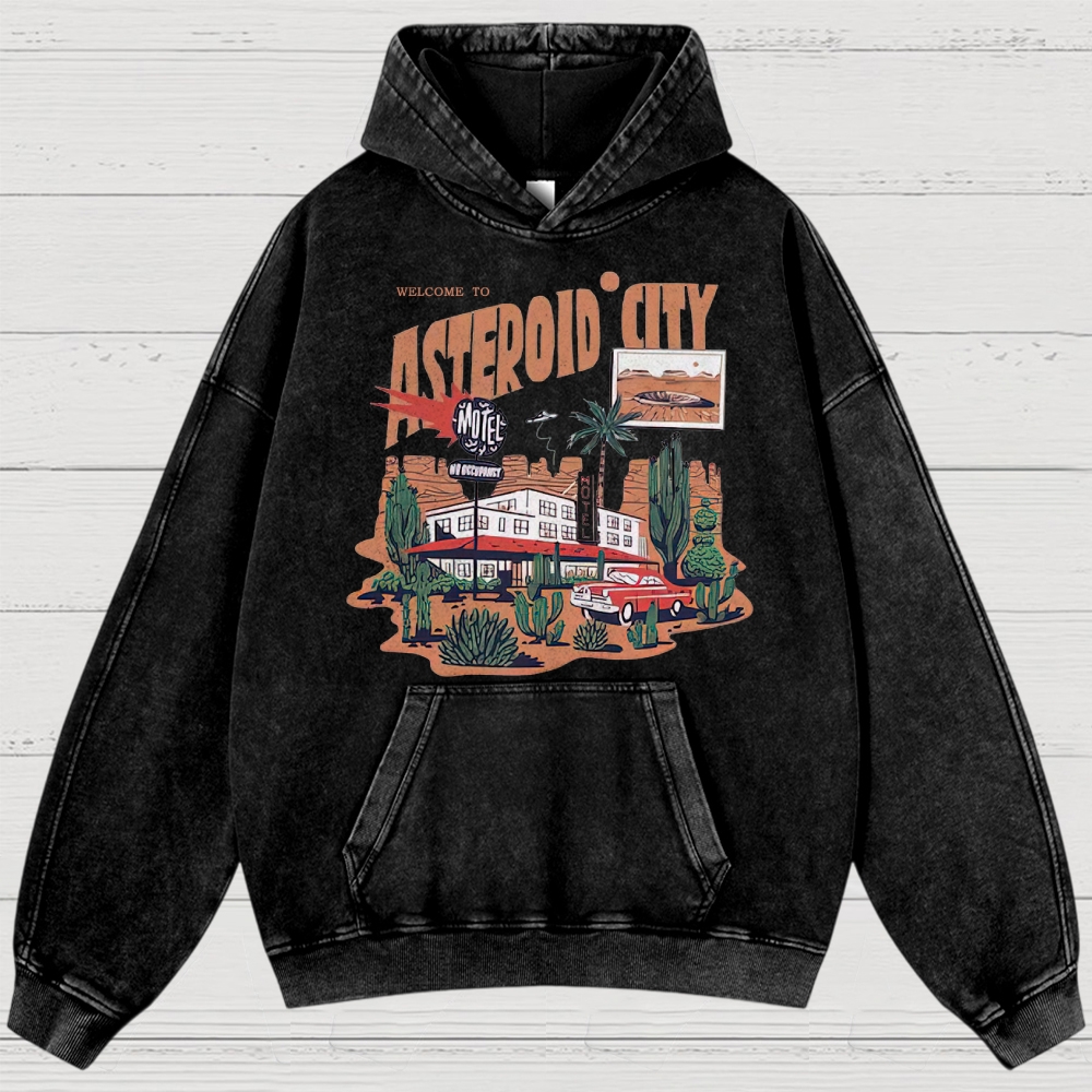 Retro Desert Motel & Sci-Fi Graphic Washed Hoodies