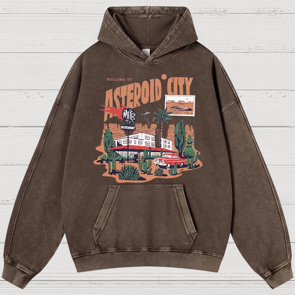 Retro Desert Motel & Sci-Fi Graphic Washed Hoodies