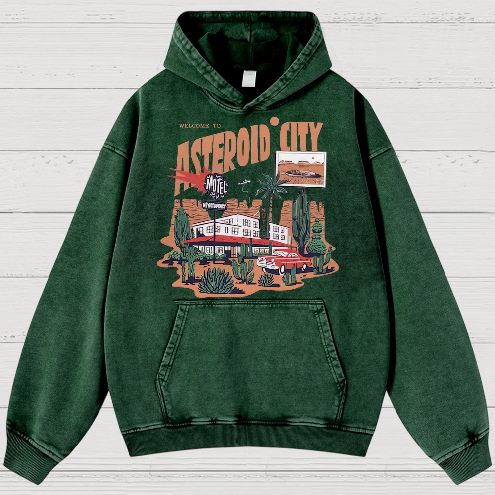 Retro Desert Motel & Sci-Fi Graphic Washed Hoodies