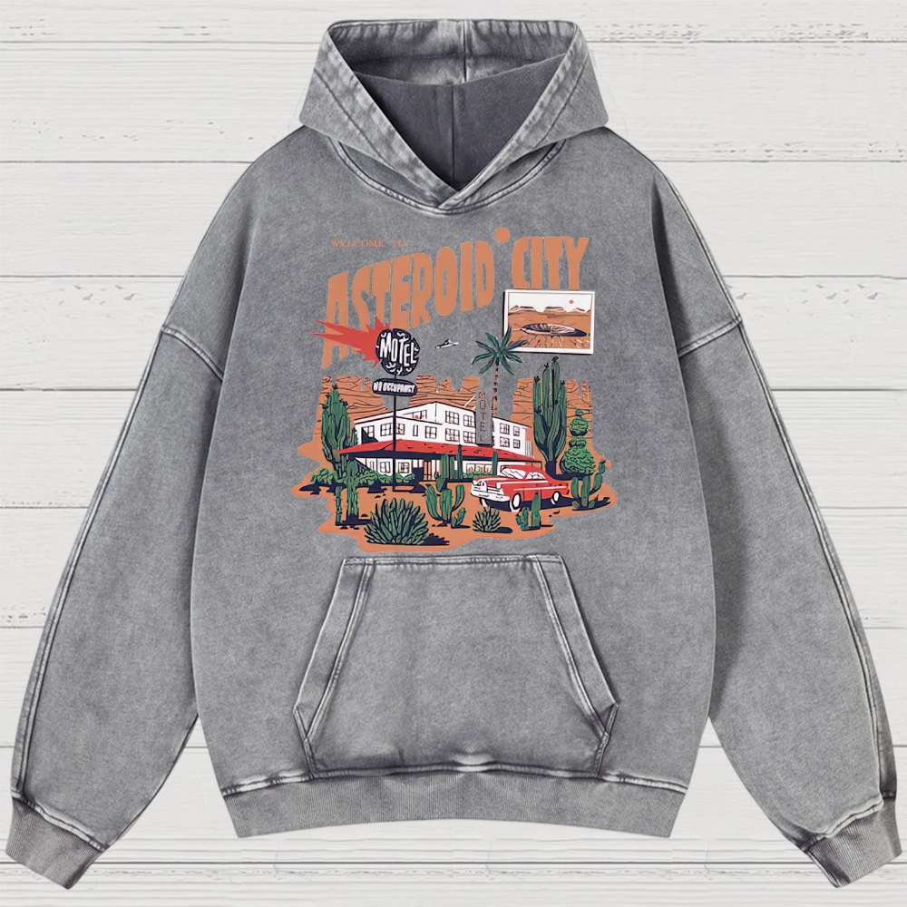 Retro Desert Motel & Sci-Fi Graphic Washed Hoodies