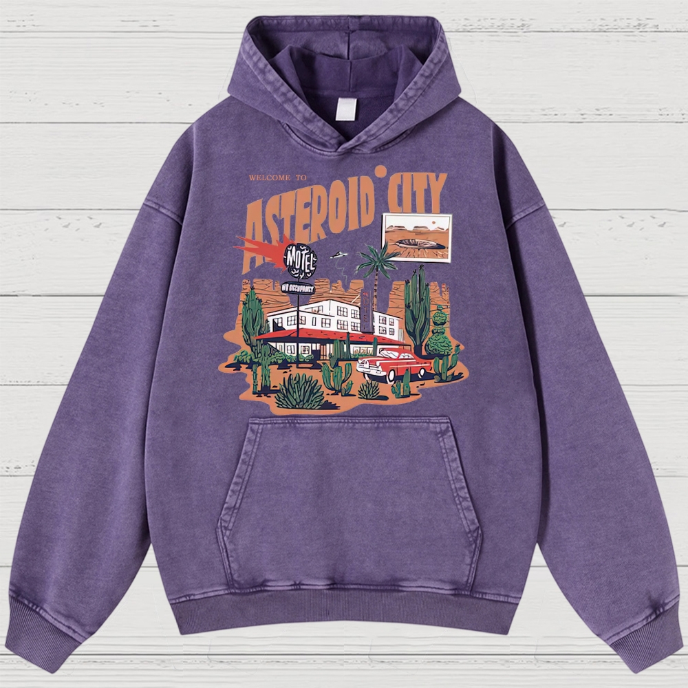 Retro Desert Motel & Sci-Fi Graphic Washed Hoodies