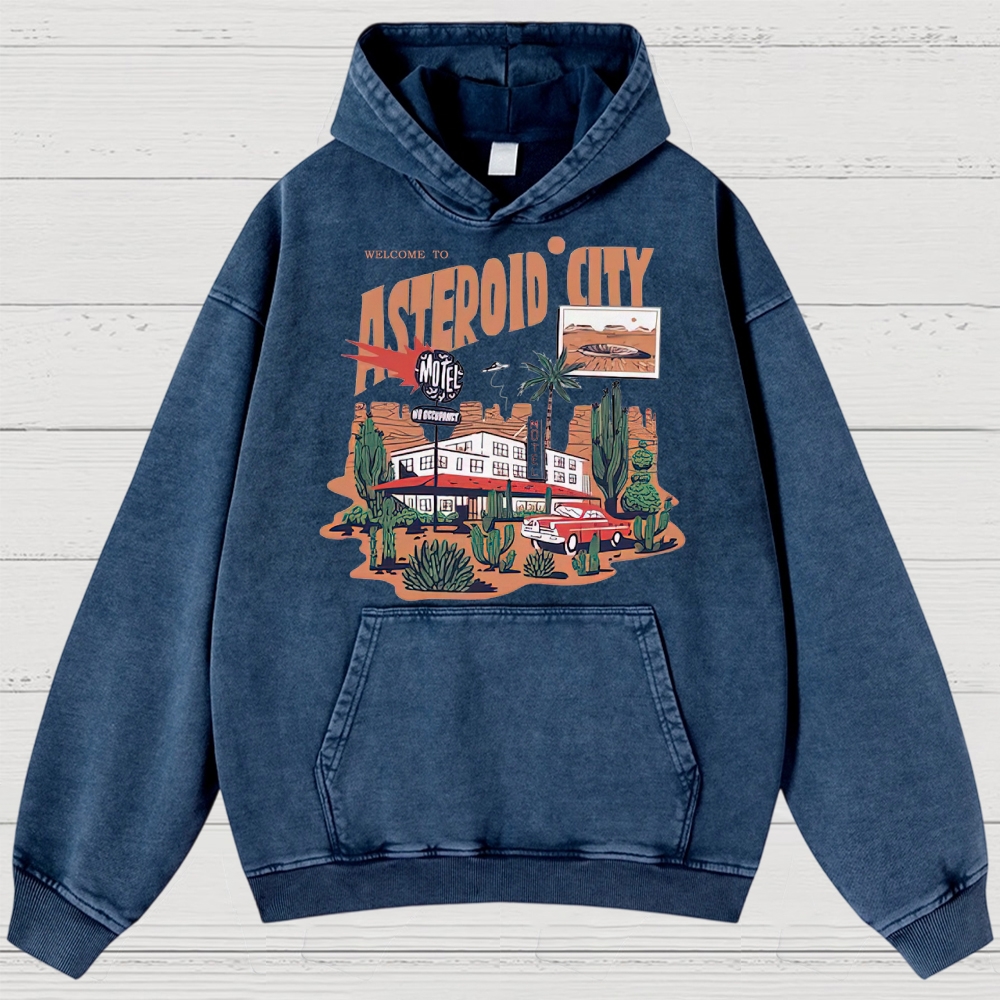 Retro Desert Motel & Sci-Fi Graphic Washed Hoodies
