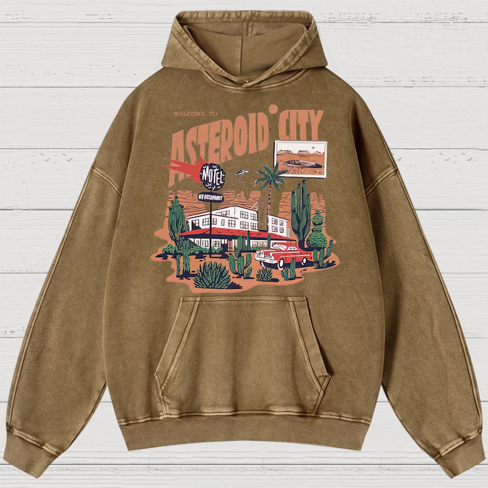 Retro Desert Motel & Sci-Fi Graphic Washed Hoodies
