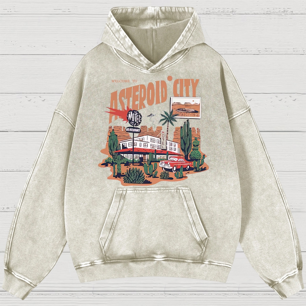 Retro Desert Motel & Sci-Fi Graphic Washed Hoodies