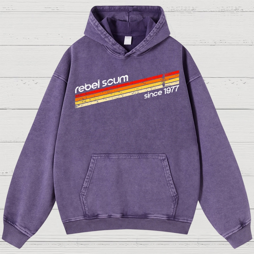 Vintage Sci-Fi Resistance Washed Hoodies 
