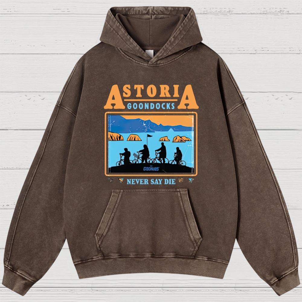 Retro Adventure Gang & Coastal Graphic Washed Hoodies