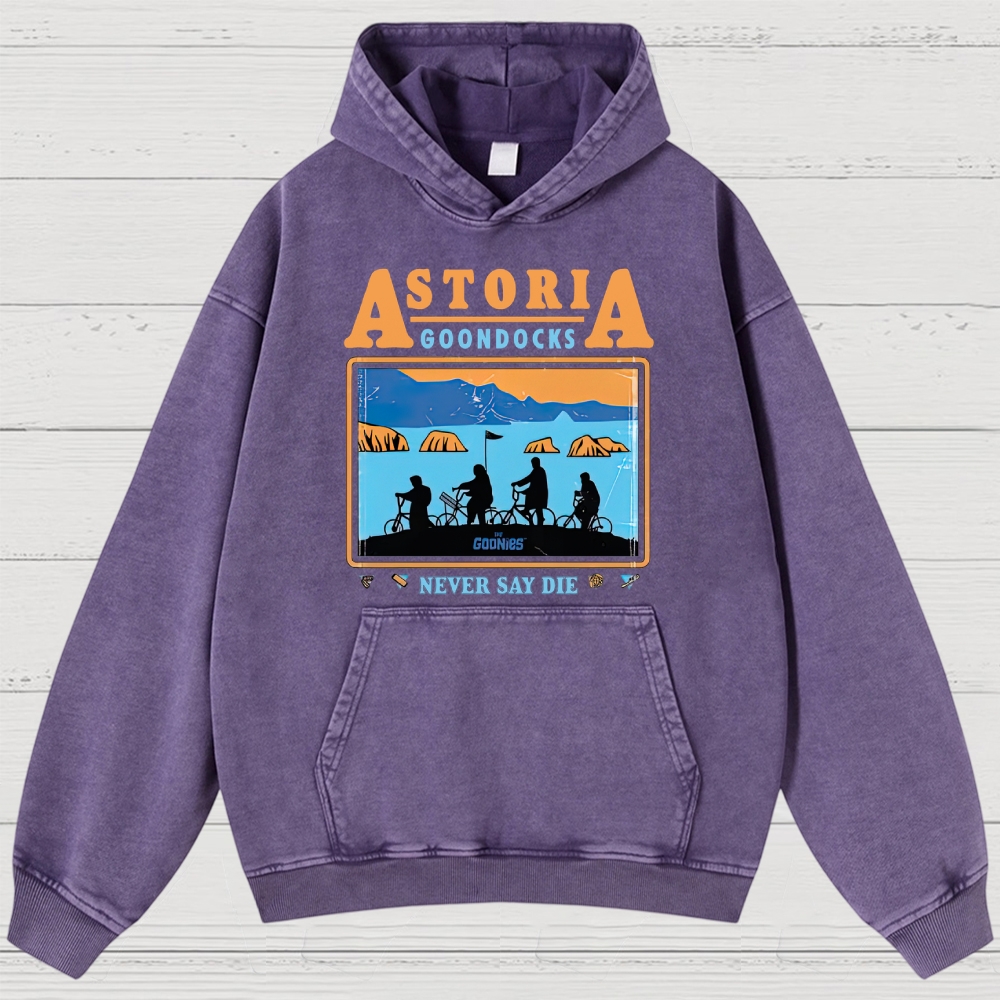 Retro Adventure Gang & Coastal Graphic Washed Hoodies