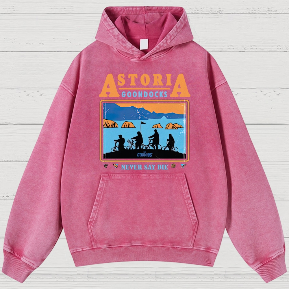 Retro Adventure Gang & Coastal Graphic Washed Hoodies