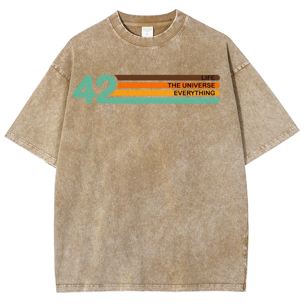 Life • Universe • Everything Concept Washed T-Shirt 