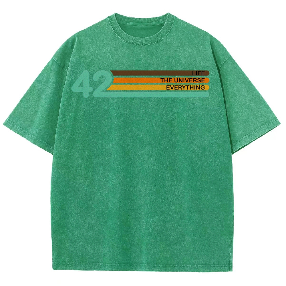Life • Universe • Everything Concept Washed T-Shirt 