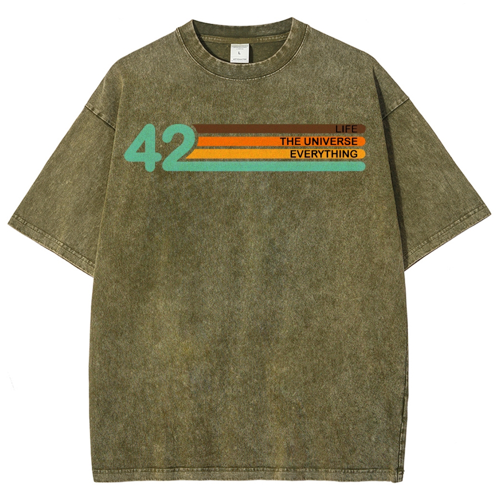 Life • Universe • Everything Concept Washed T-Shirt 