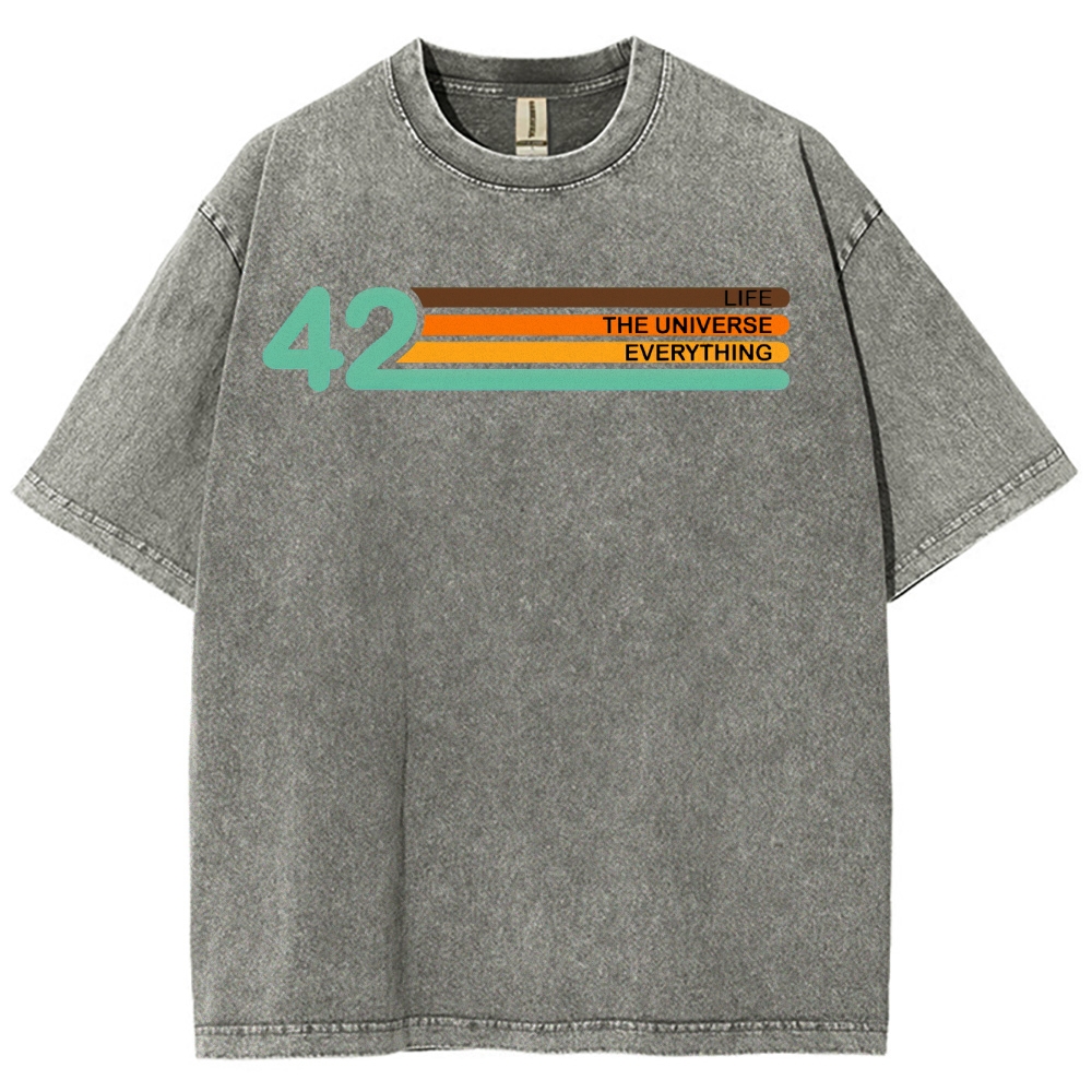 Life • Universe • Everything Concept Washed T-Shirt 