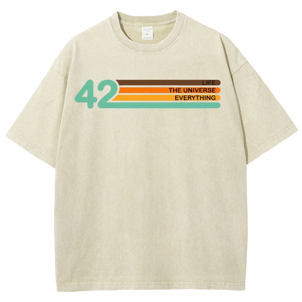 Life • Universe • Everything Concept Washed T-Shirt 