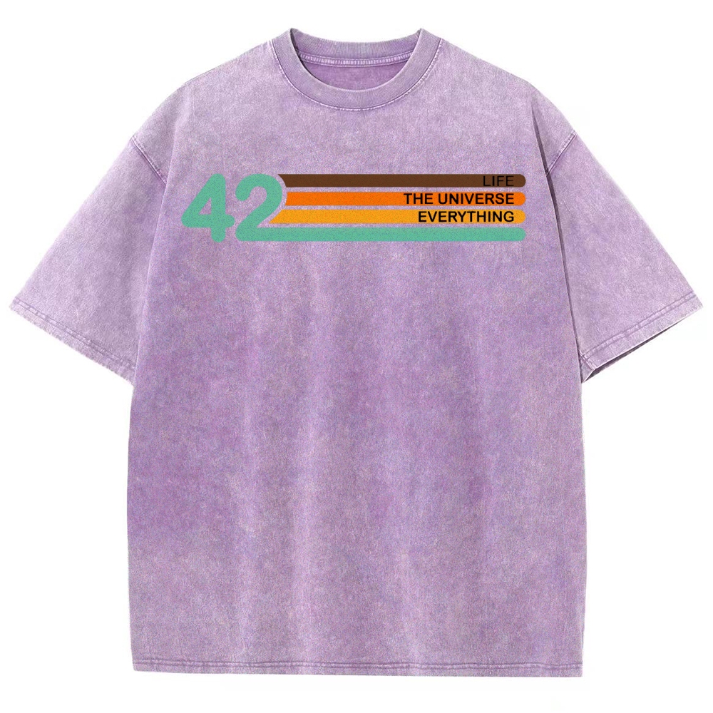 Life • Universe • Everything Concept Washed T-Shirt 