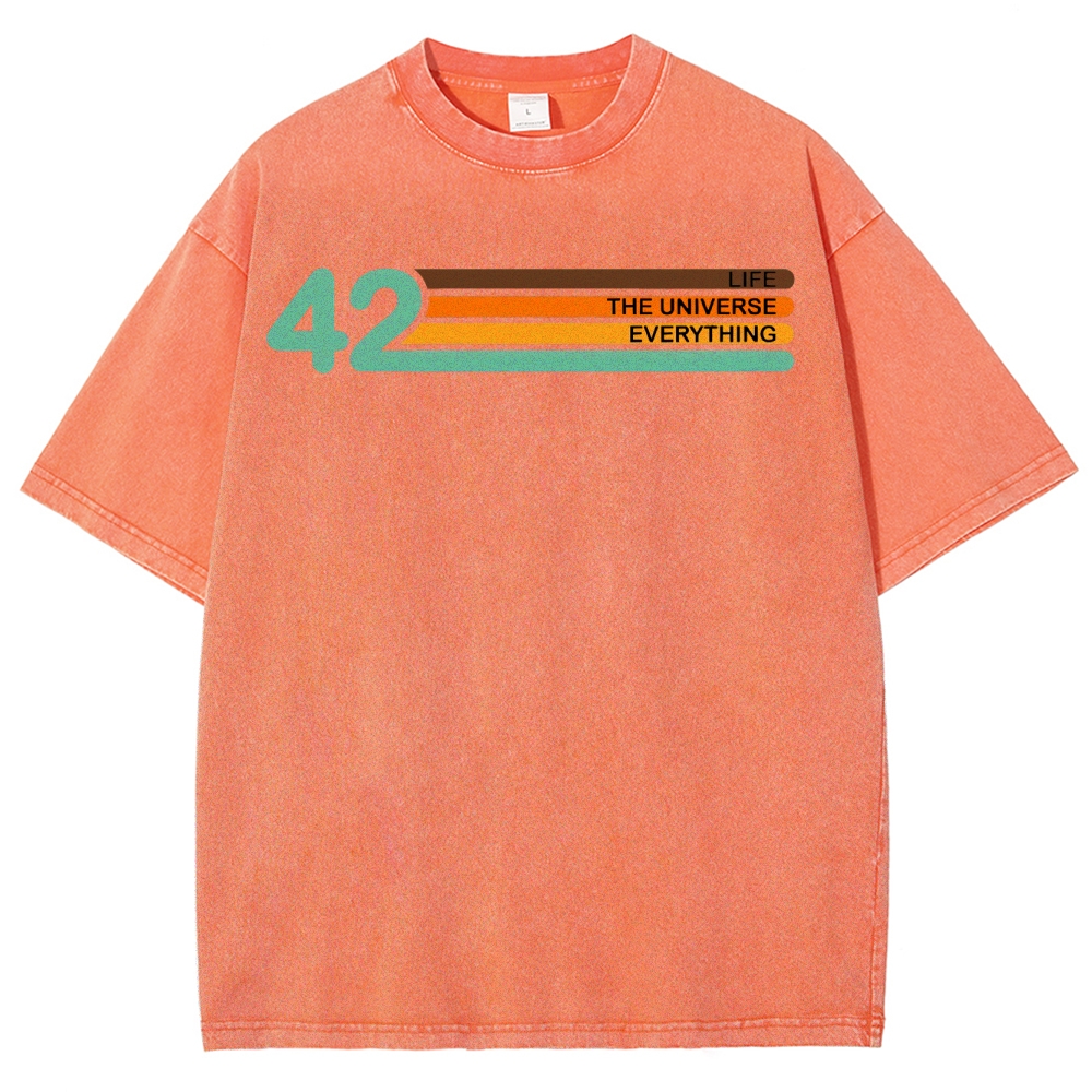 Life • Universe • Everything Concept Washed T-Shirt 
