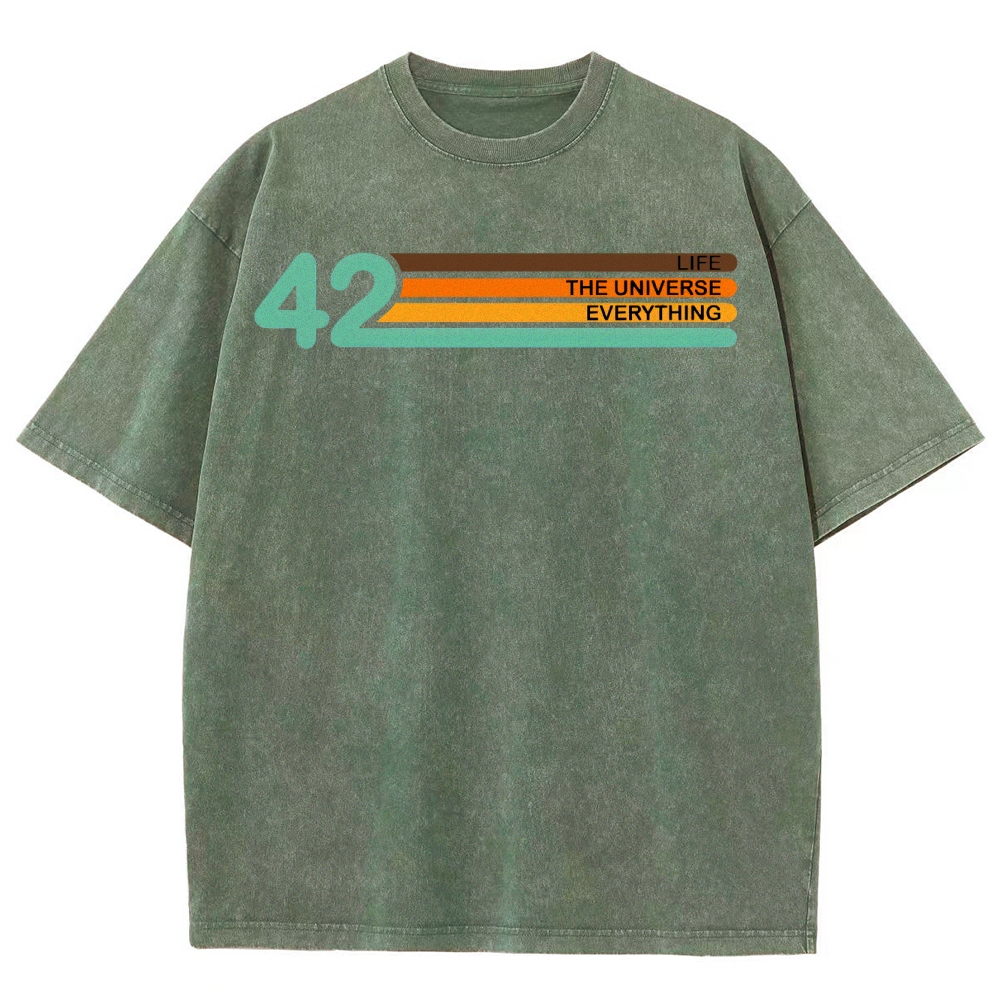 Life • Universe • Everything Concept Washed T-Shirt 