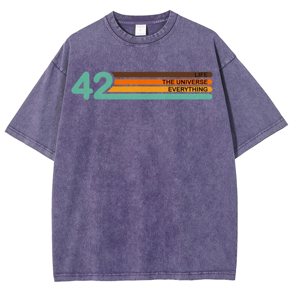 Life • Universe • Everything Concept Washed T-Shirt 