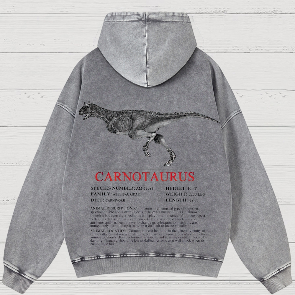 Prehistoric Dinosaur Specimen Graphic Retro Washed Hoodies