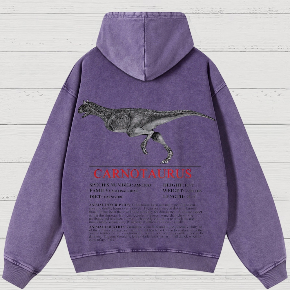 Prehistoric Dinosaur Specimen Graphic Retro Washed Hoodies