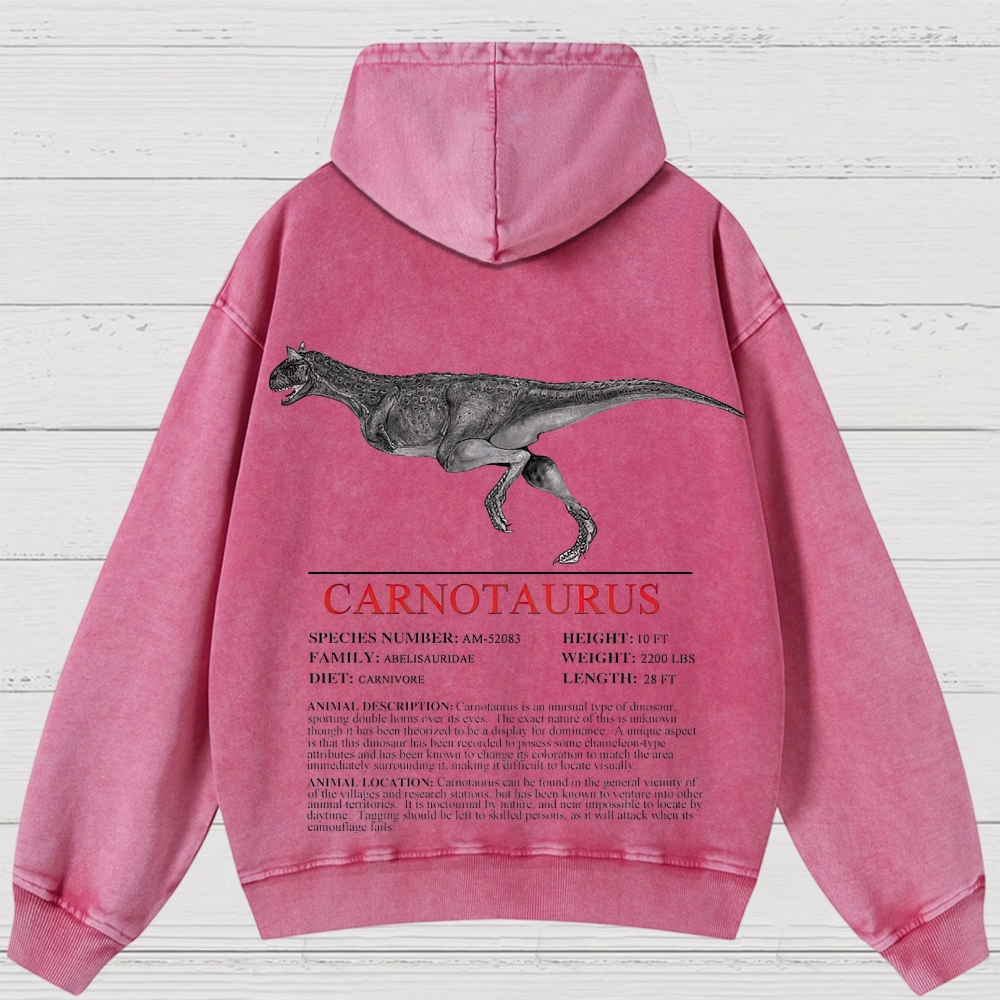 Prehistoric Dinosaur Specimen Graphic Retro Washed Hoodies