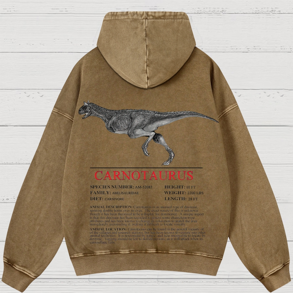 Prehistoric Dinosaur Specimen Graphic Retro Washed Hoodies