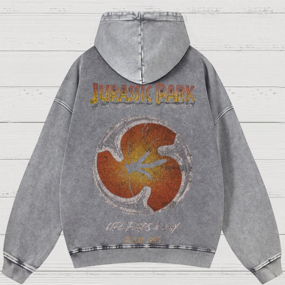 Prehistoric Insect & Slogan Graphic Retro Washed Hoodies