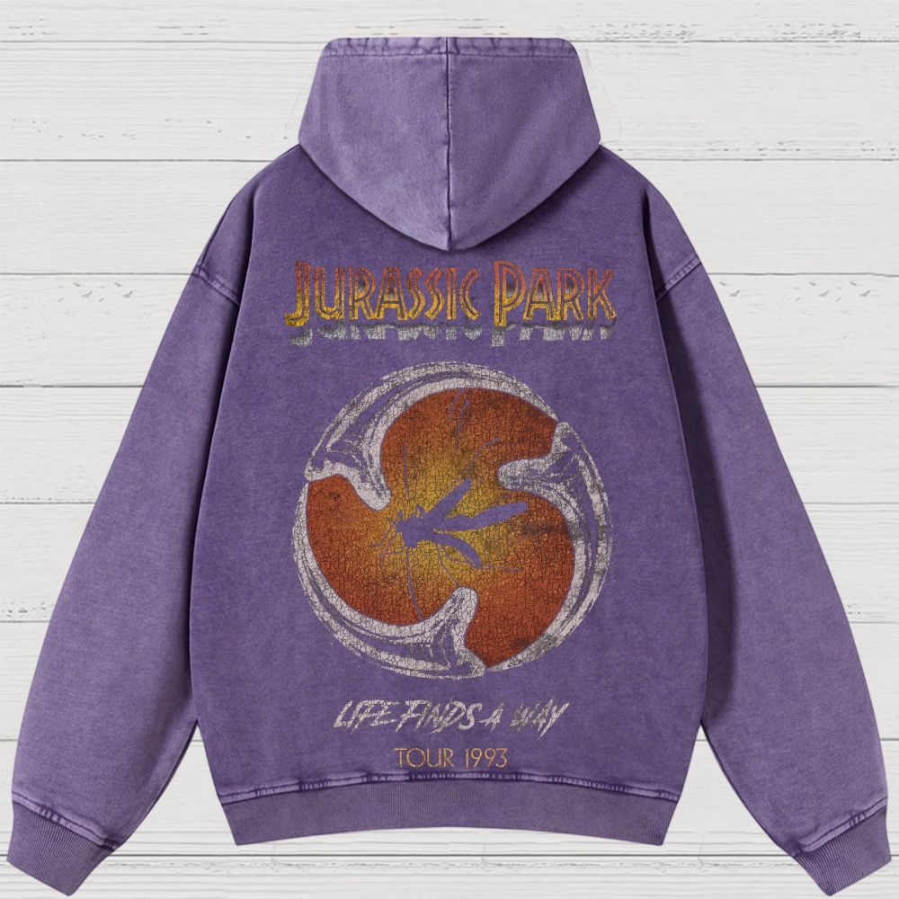 Prehistoric Insect & Slogan Graphic Retro Washed Hoodies