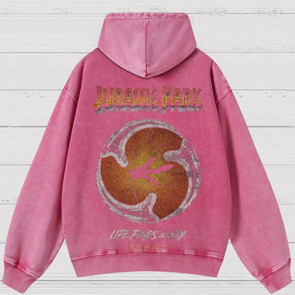 Prehistoric Insect & Slogan Graphic Retro Washed Hoodies