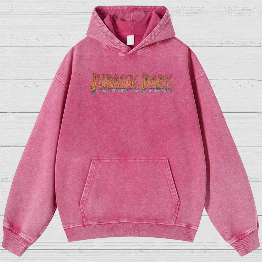 Prehistoric Insect & Slogan Graphic Retro Washed Hoodies