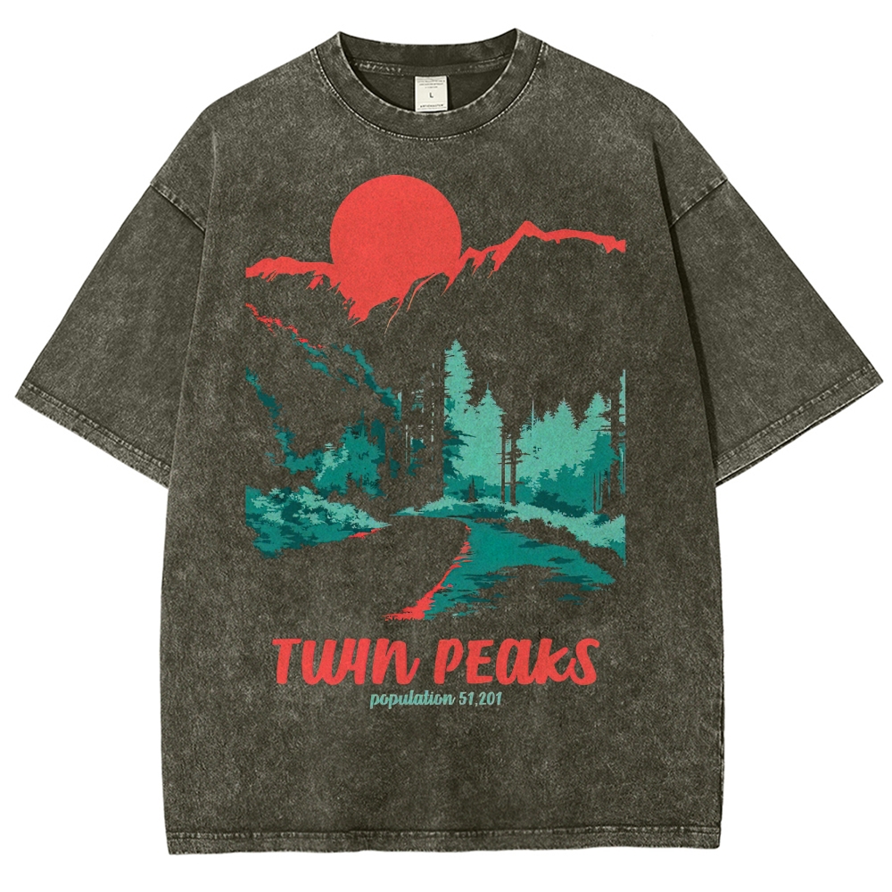 Mystery Small-Town Scenic Graphic Retro Washed T-Shirt