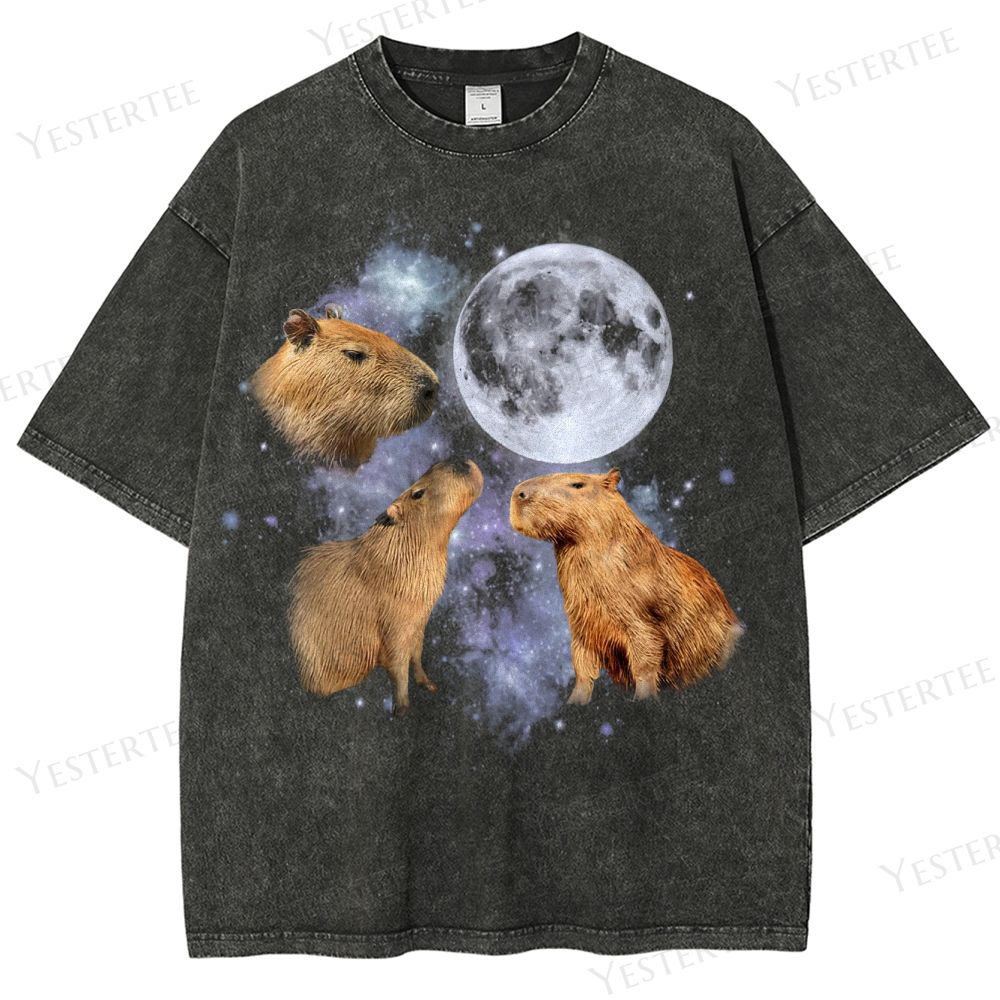 Moonwatcher Capybara Washed T-Shirt 