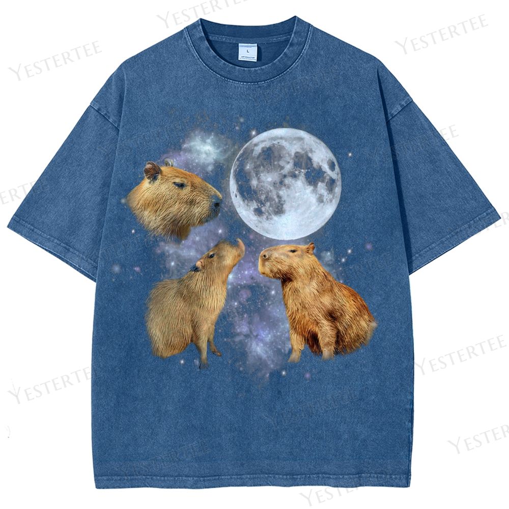 Moonwatcher Capybara Washed T-Shirt 