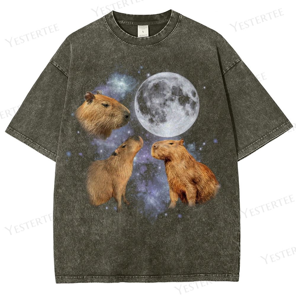 Moonwatcher Capybara Washed T-Shirt 