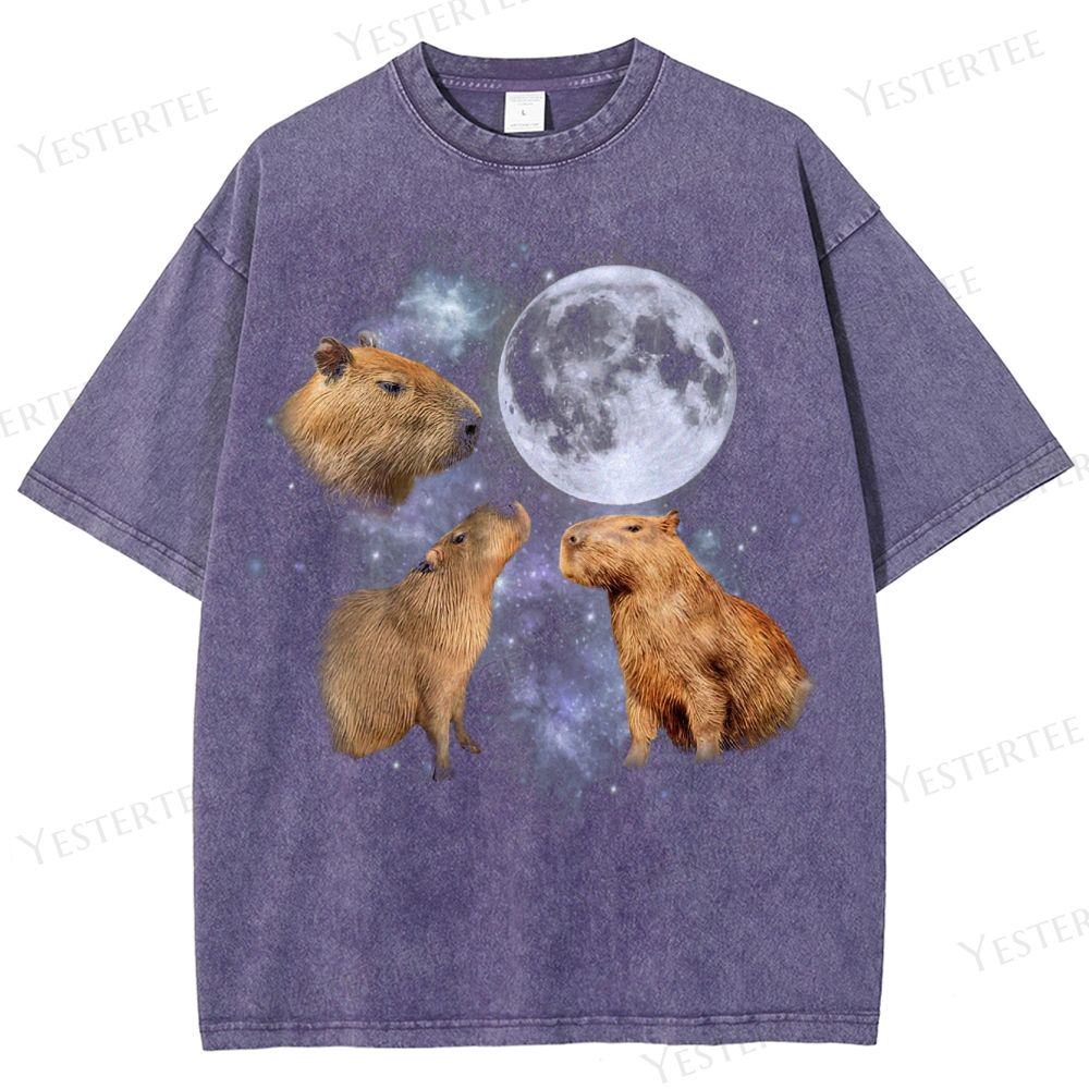 Moonwatcher Capybara Washed T-Shirt 