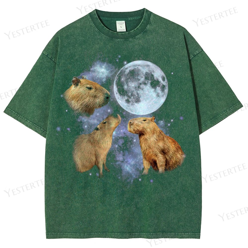 Moonwatcher Capybara Washed T-Shirt 