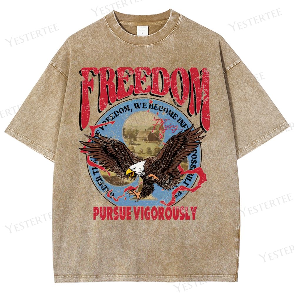 Retro Patriotic Freedom Graphic Washed T-Shirt