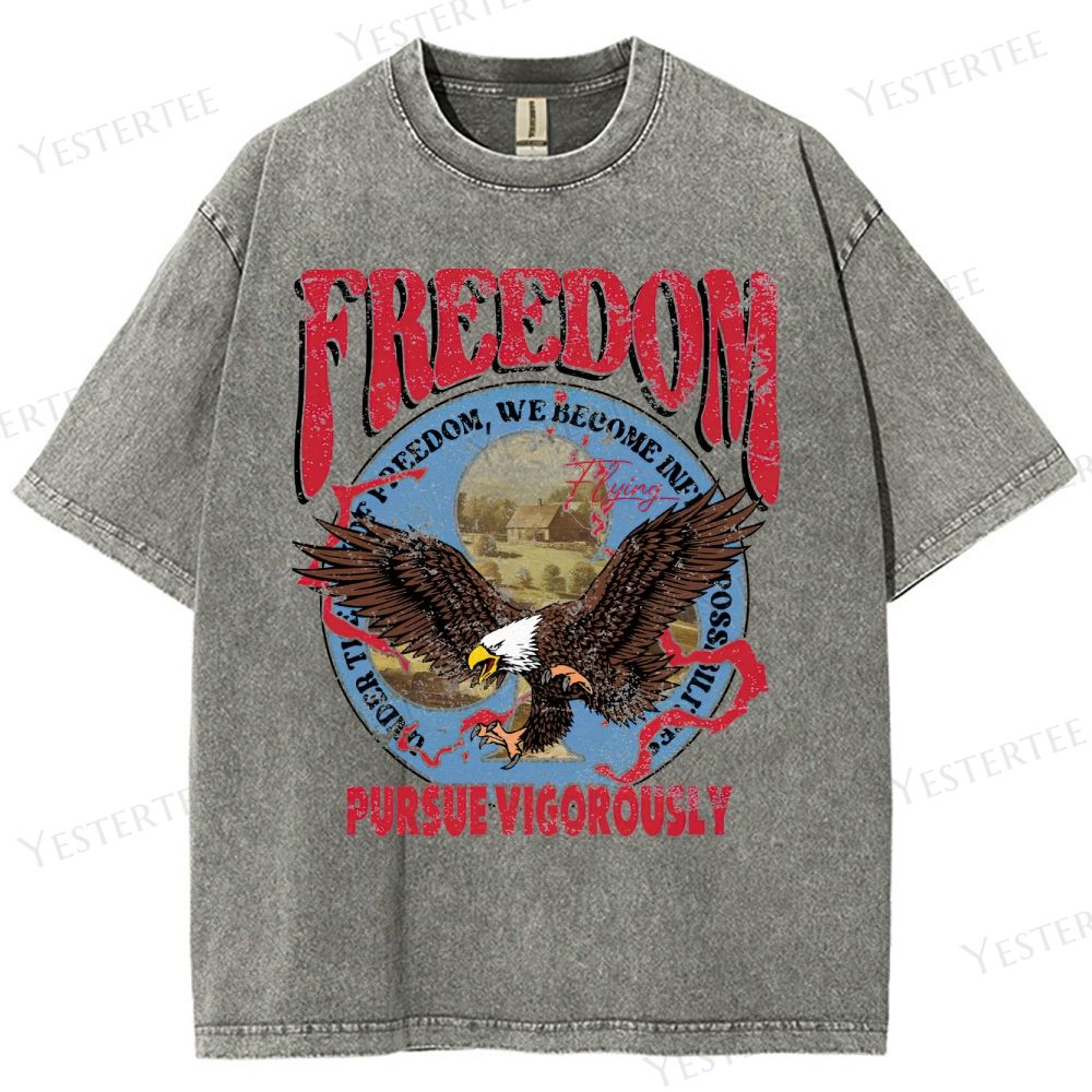 Retro Patriotic Freedom Graphic Washed T-Shirt