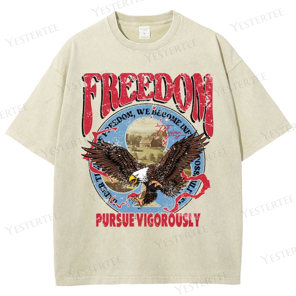 Retro Patriotic Freedom Graphic Washed T-Shirt