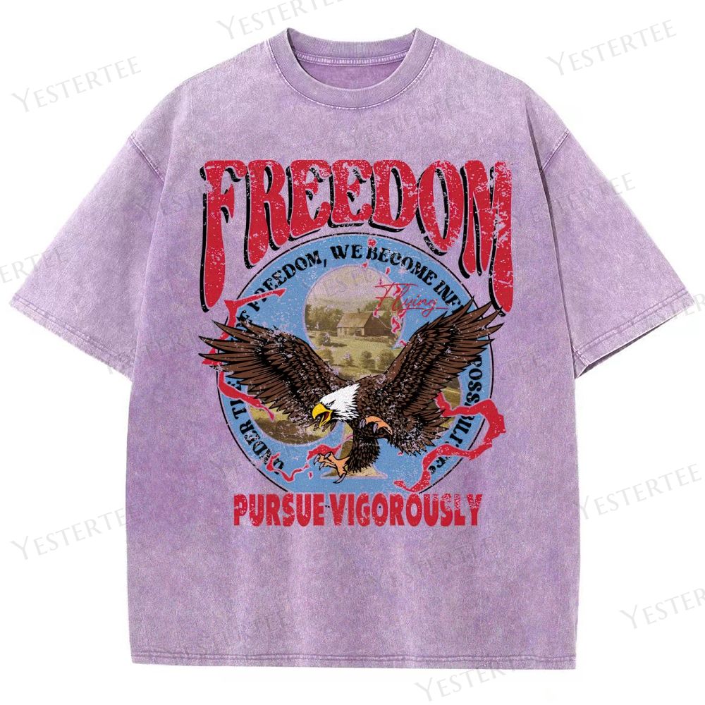 Retro Patriotic Freedom Graphic Washed T-Shirt