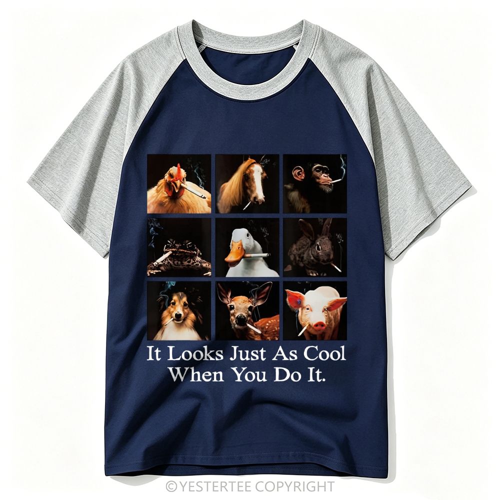 Yestertee It Looks Just As Stupid When You Do It Baseball T-shirt 