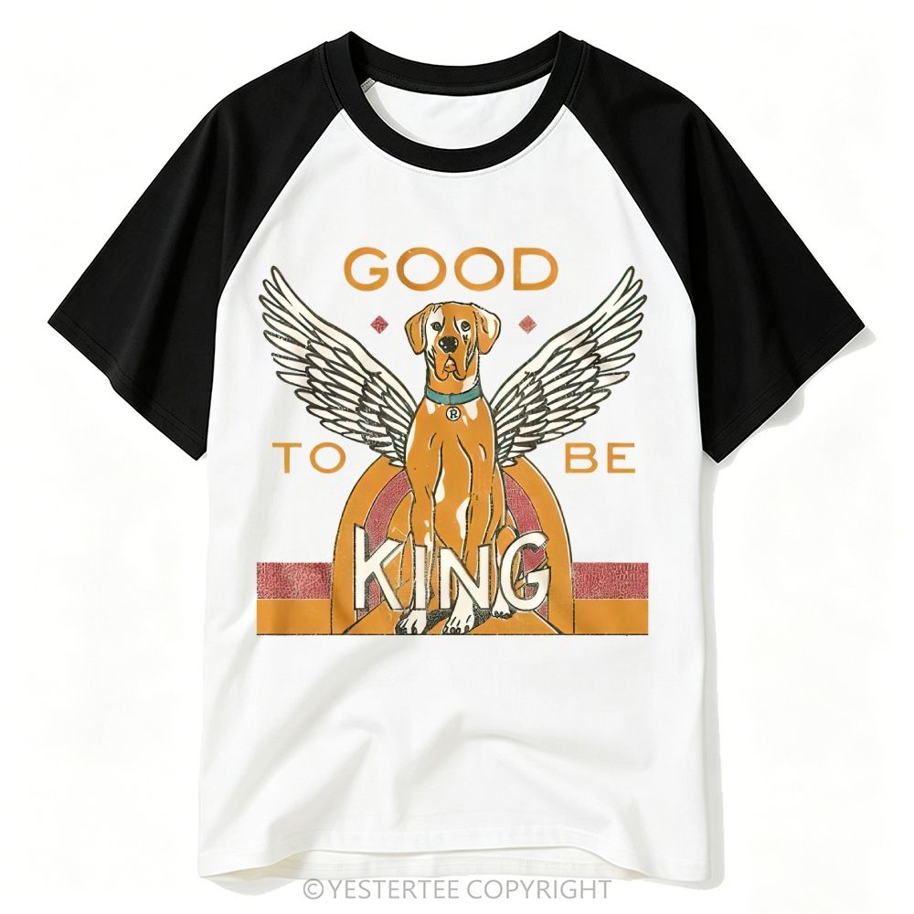 Baseball T-shirt 2607001425