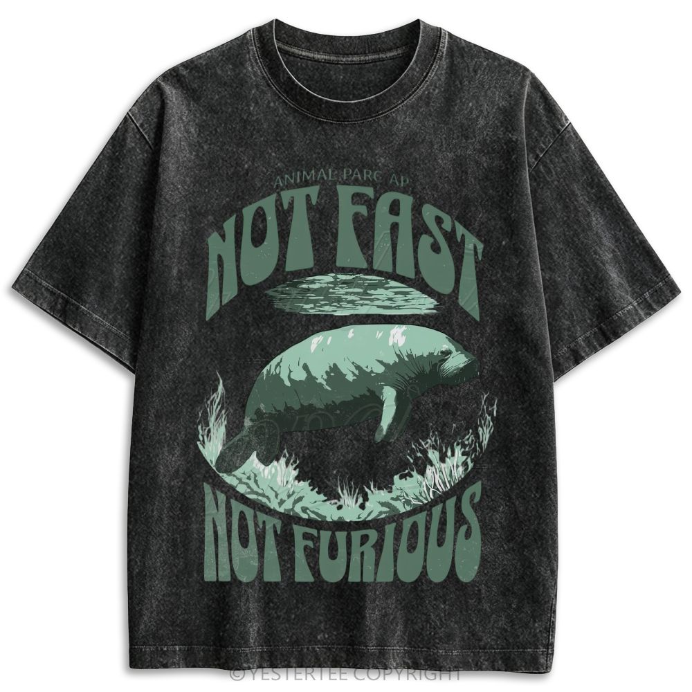Retro Washed T-shirt 2607002784