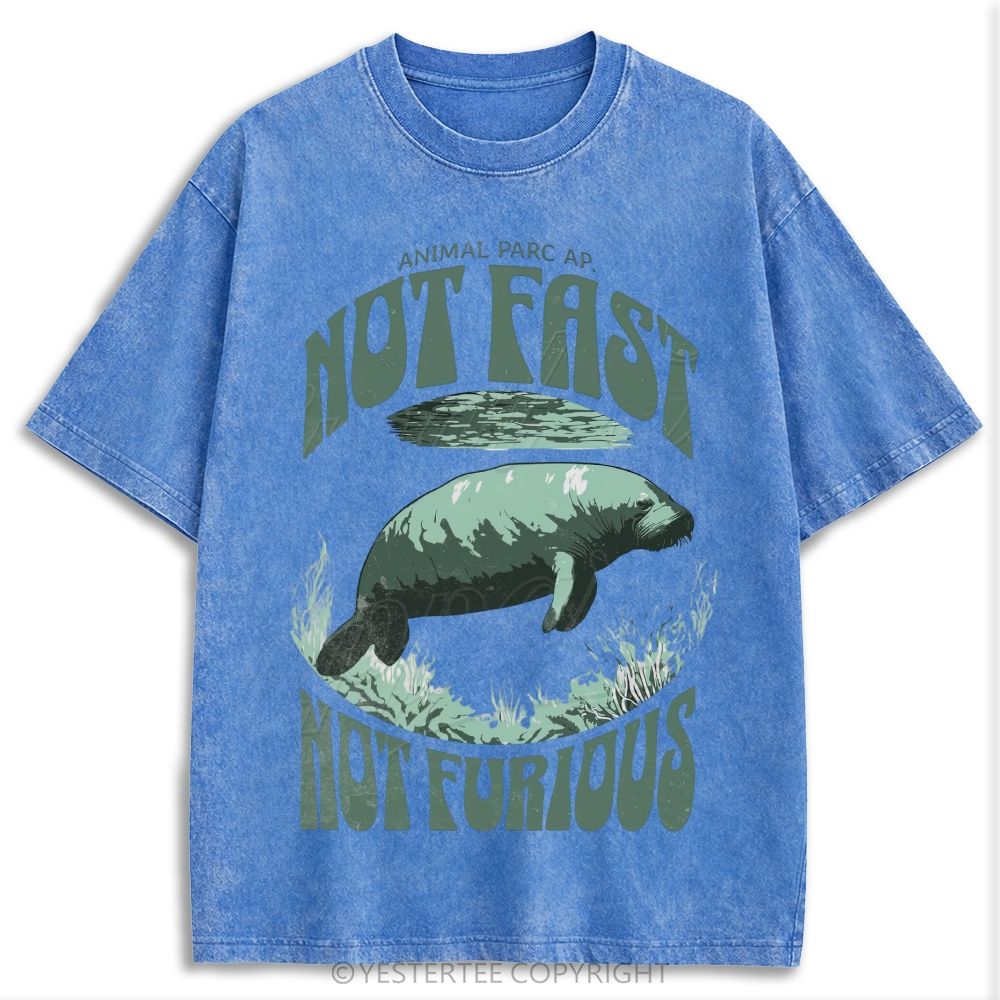 Retro Washed T-shirt 2607002784